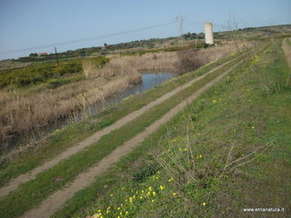 lle del Simeto-24-02-2013 10-30-57